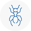 Ant Removals In Hoxton