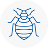 Bed Bug Extermination In Hoxton