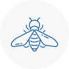 Bee Nest Removal Hoxton