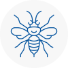 Hoxton Hornet Nest Removals