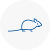 Mice Exterminators In Hoxton