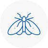 Moth Control Specialists In Hoxton