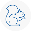 Hoxton Rodent Removals