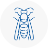 Hoxton Wasp Nest Removal
